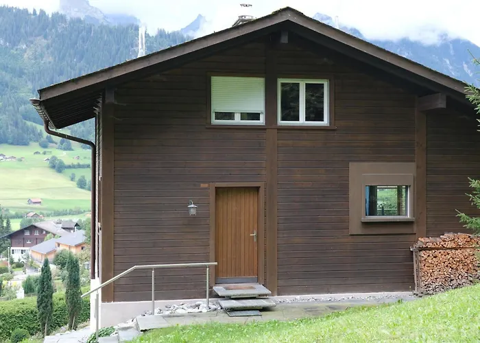 Weidli- By Interhome Appartement